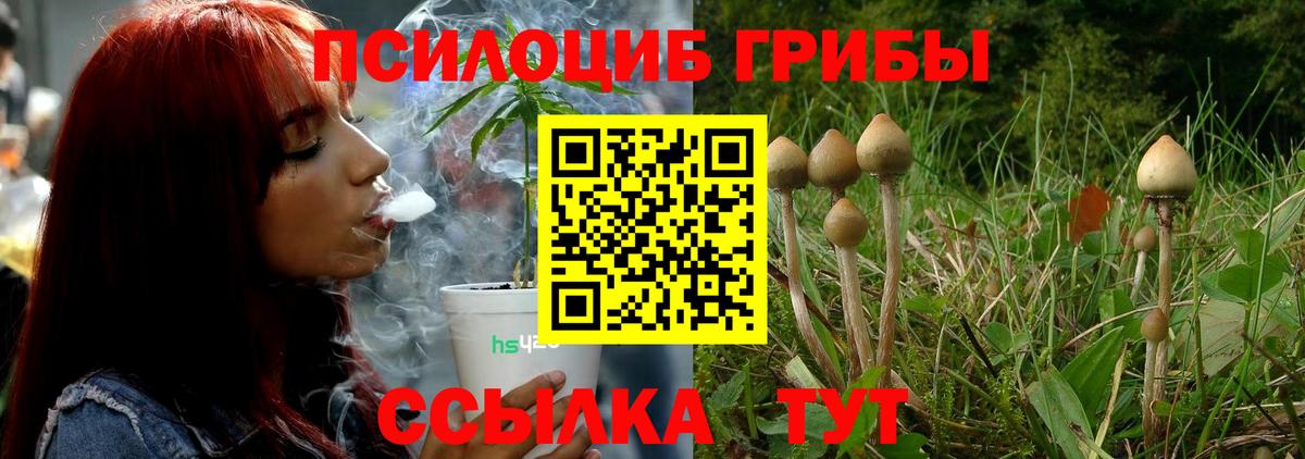 Псилоцибиновые грибы ЛСД Людиново